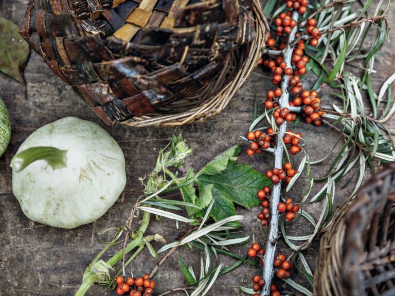 Feinschmecker-René-Redzepi-2020-7