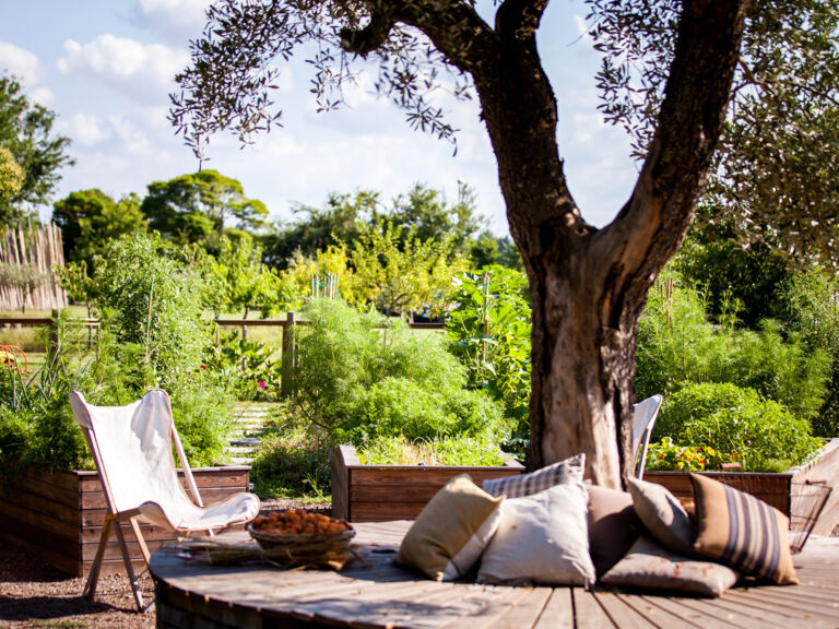 vegetable-garden-francescana-at-maria-luigia