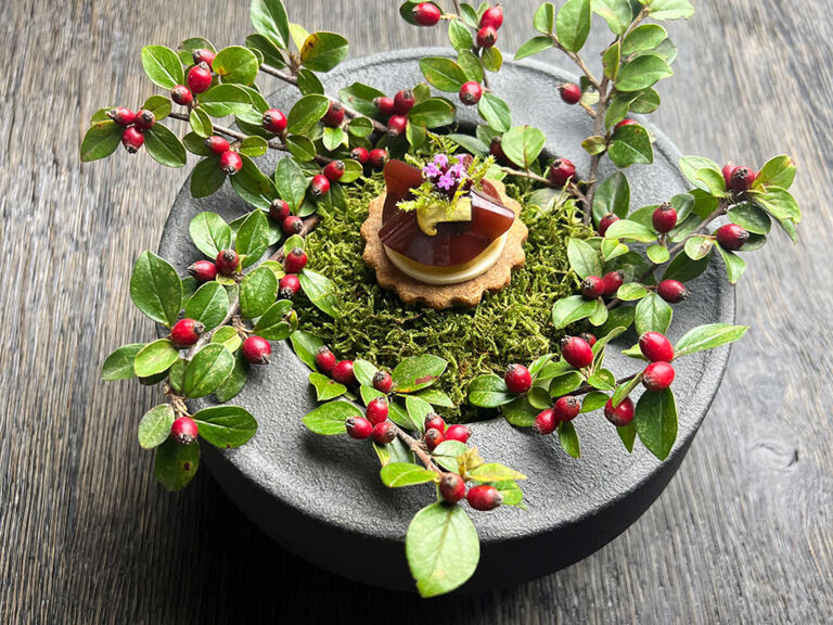 Pilz-Variation mit Dinkel-Malz-Plätzchen, Brombeere, Blumenkohl und Schönschnabelmoos