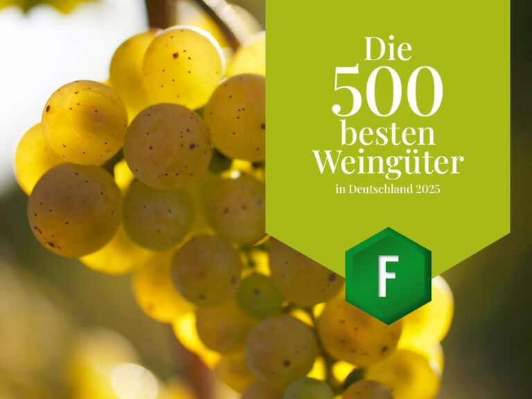 Die-besten-Weingueter_Feinschmecker_2025
