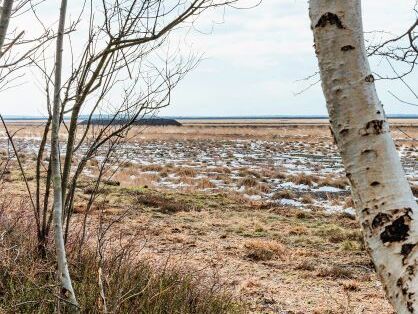 moorschmied-moor-niedersachsen