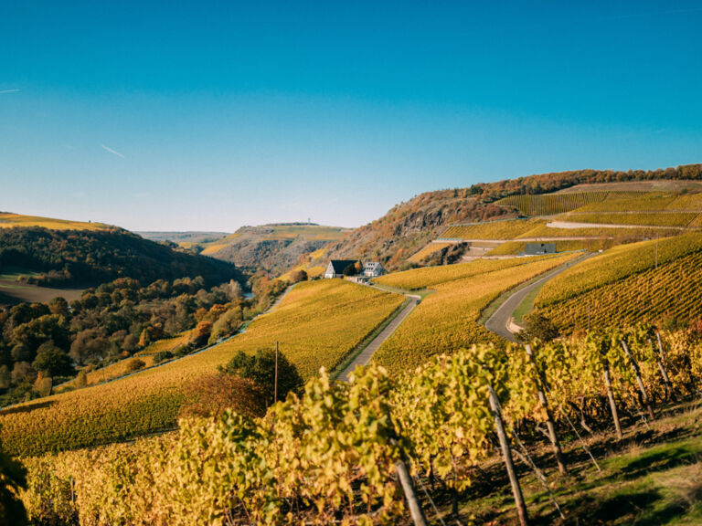 GutHermannsberg-6ix-Herbst2016_6700px-78-2_preview