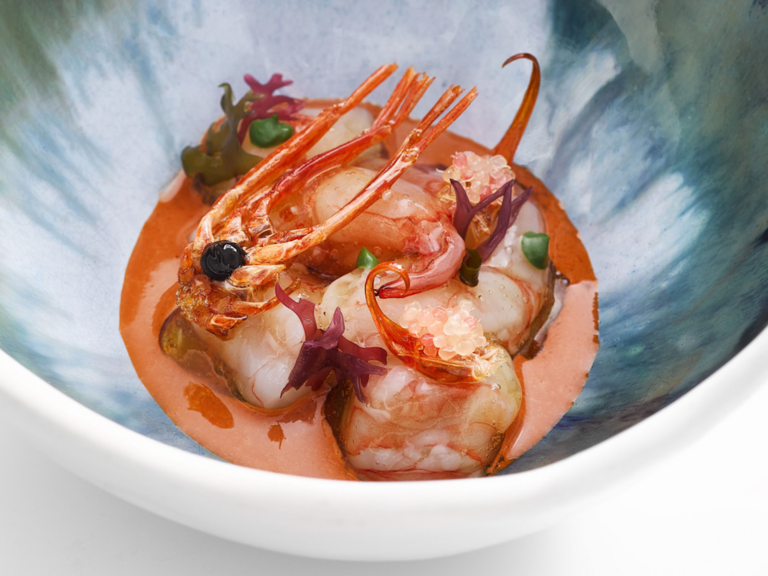 Roca_Toda la gamba_preview