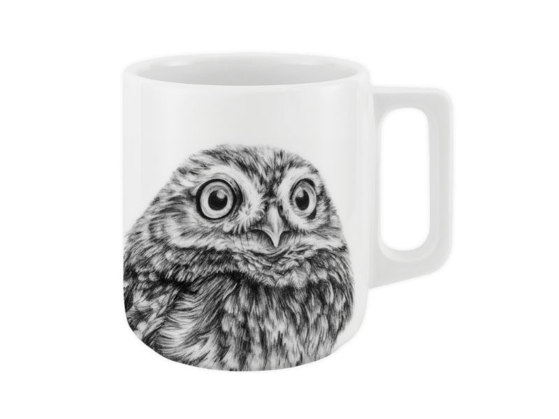 Greifvogel