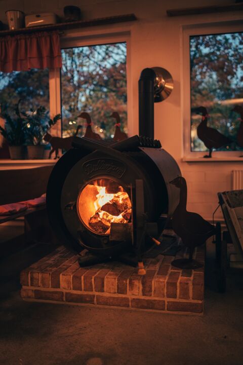 Dithmarscher Geflügel - Weihnachtszauber