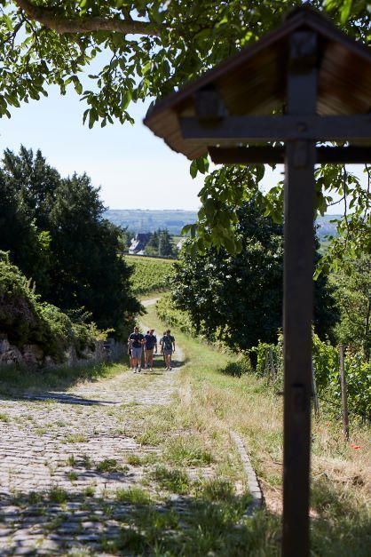 rotweinwanderweg-ahrtal