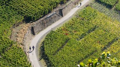 weinwanderung-ahrtal
