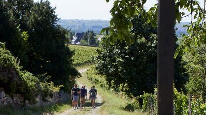 rotweinwanderweg-ahrtal
