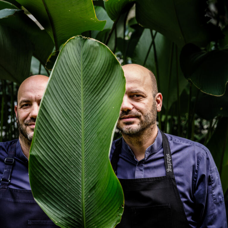 suhring - © Pieter DHoop-3_preview