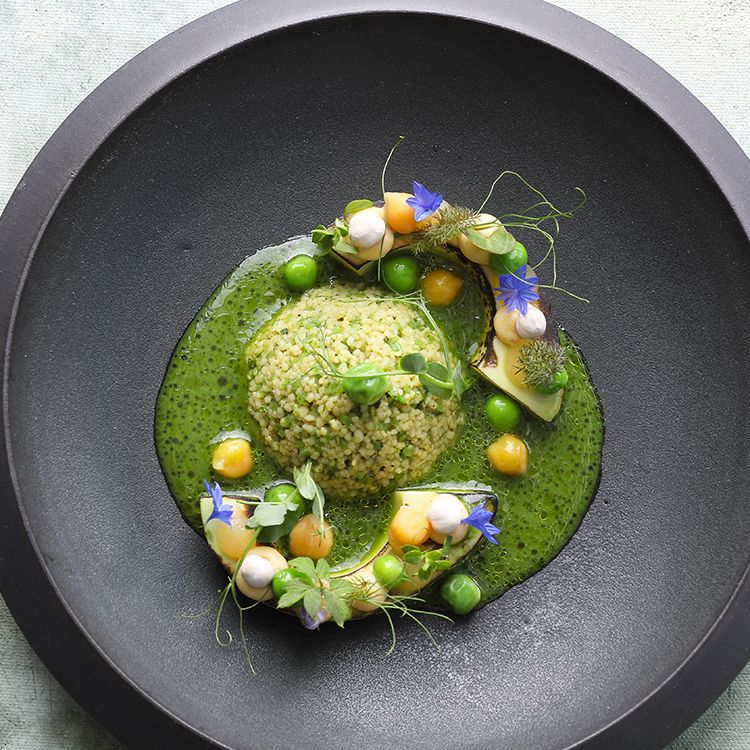 avocado-ger&ouml;stet