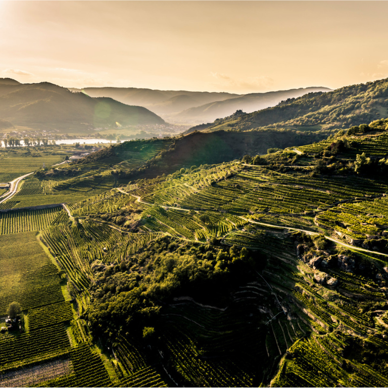 Wachau und Kamptal