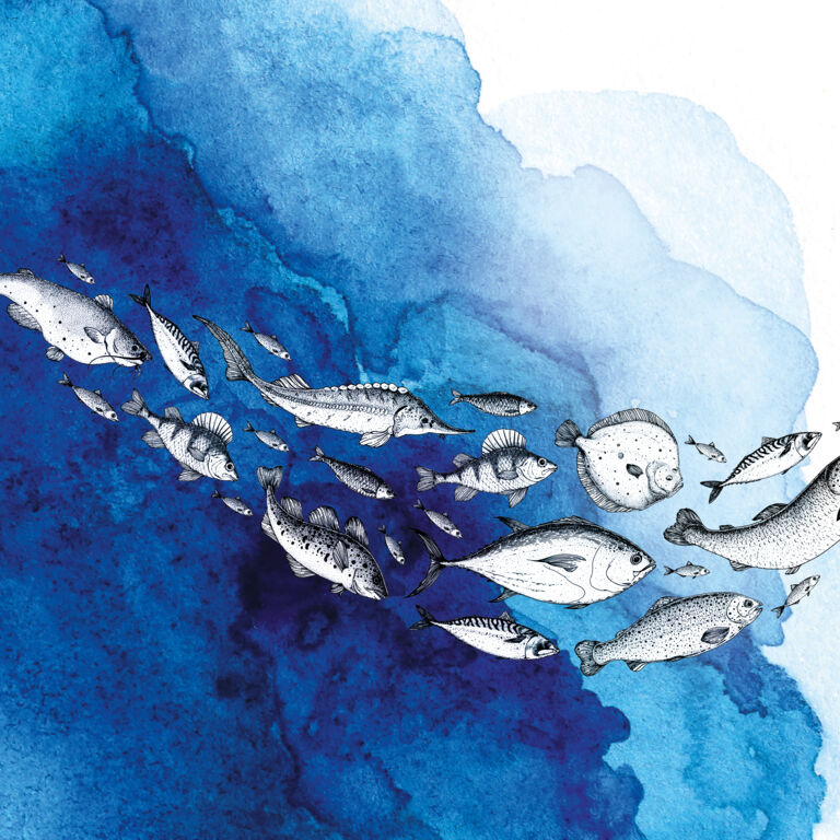 FE_425_118__SP_Schwerpunkt_Saisonkalender Fisch