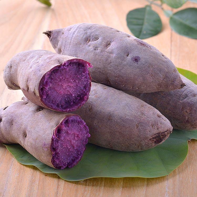 Ube-Wurzel